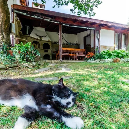 виктория Maison d'hôtes *