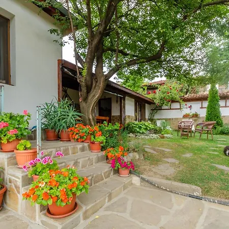 виктория Guest house