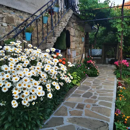 виктория Guest house