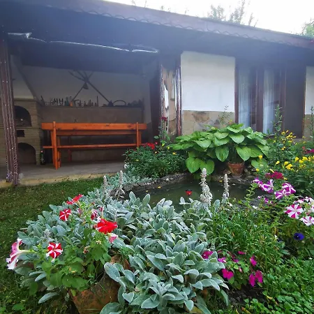 виктория Guest house