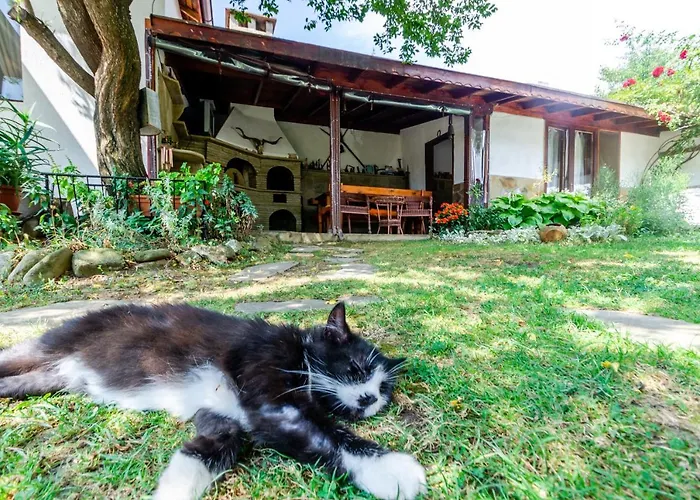 виктория Guest house *