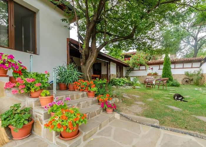 виктория Guest house