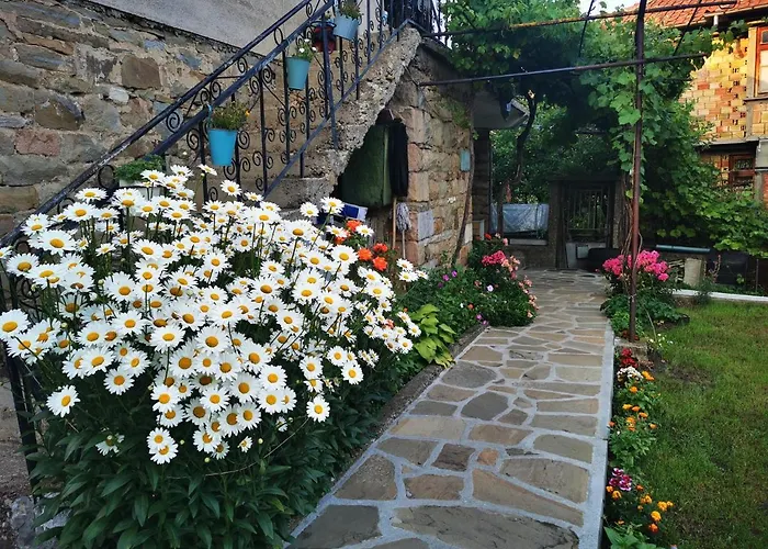 виктория Guest house